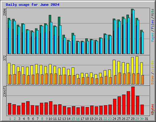 Daily usage for June 2024