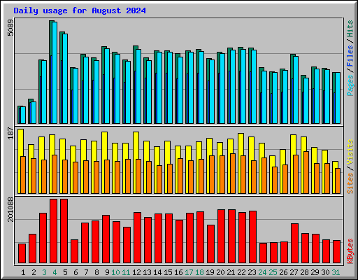 Daily usage for August 2024