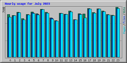 Hourly usage for July 2023