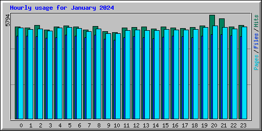 Hourly usage for January 2024