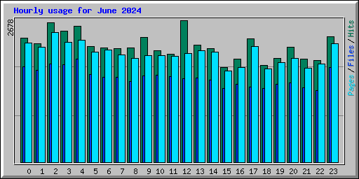 Hourly usage for June 2024