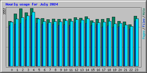 Hourly usage for July 2024