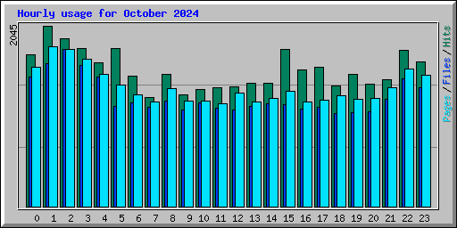 Hourly usage for October 2024