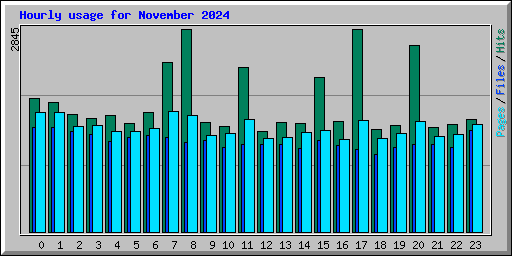 Hourly usage for November 2024