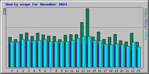 Hourly usage for December 2024