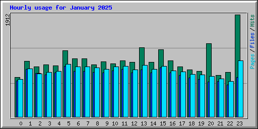 Hourly usage for January 2025