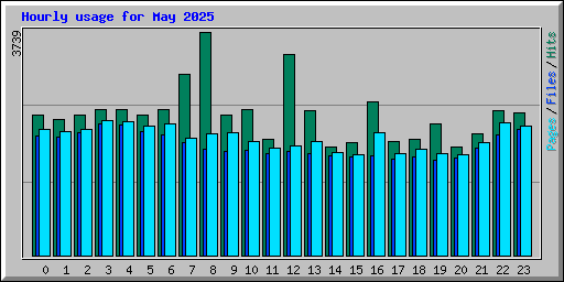 Hourly usage for May 2025