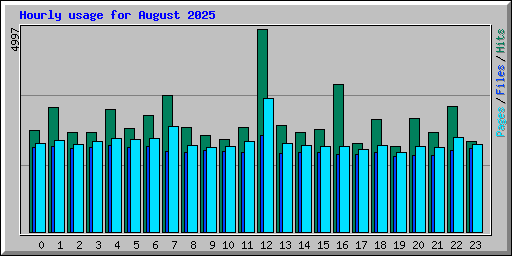 Hourly usage for August 2025