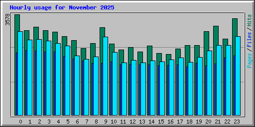 Hourly usage for November 2025